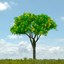 model trees
